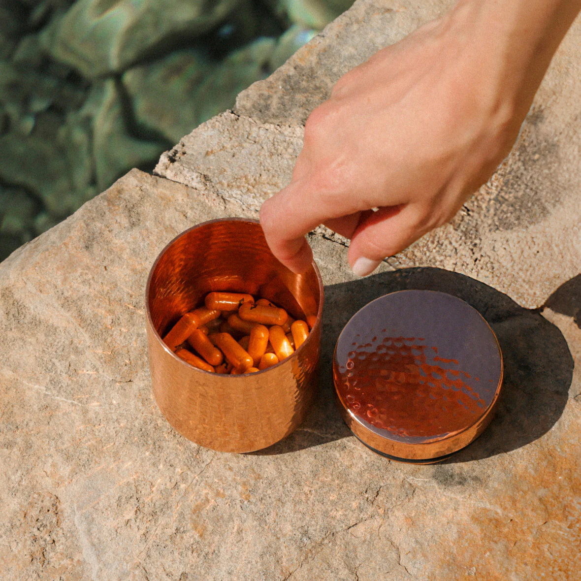 Lyma - LYMA Supplement - Image 23