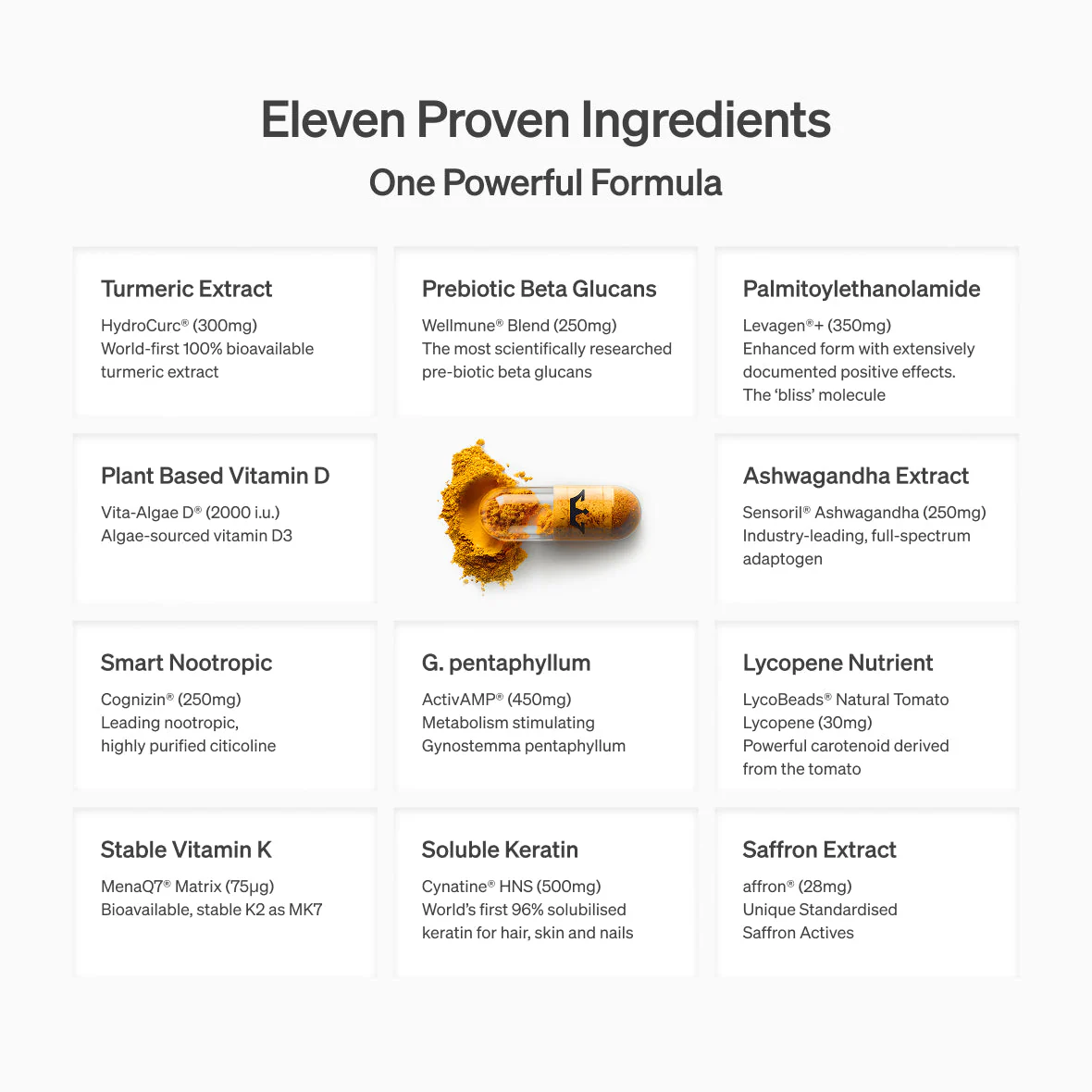 Lyma - The LYMA Supplement - Image 17