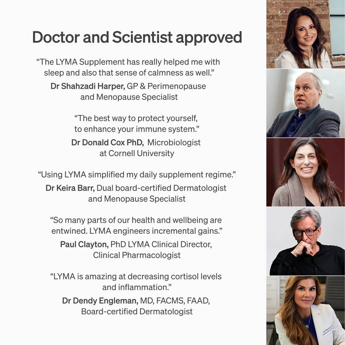 Lyma - The LYMA Supplement - Image 22